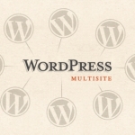 wordpress-multisite-graphic-500px